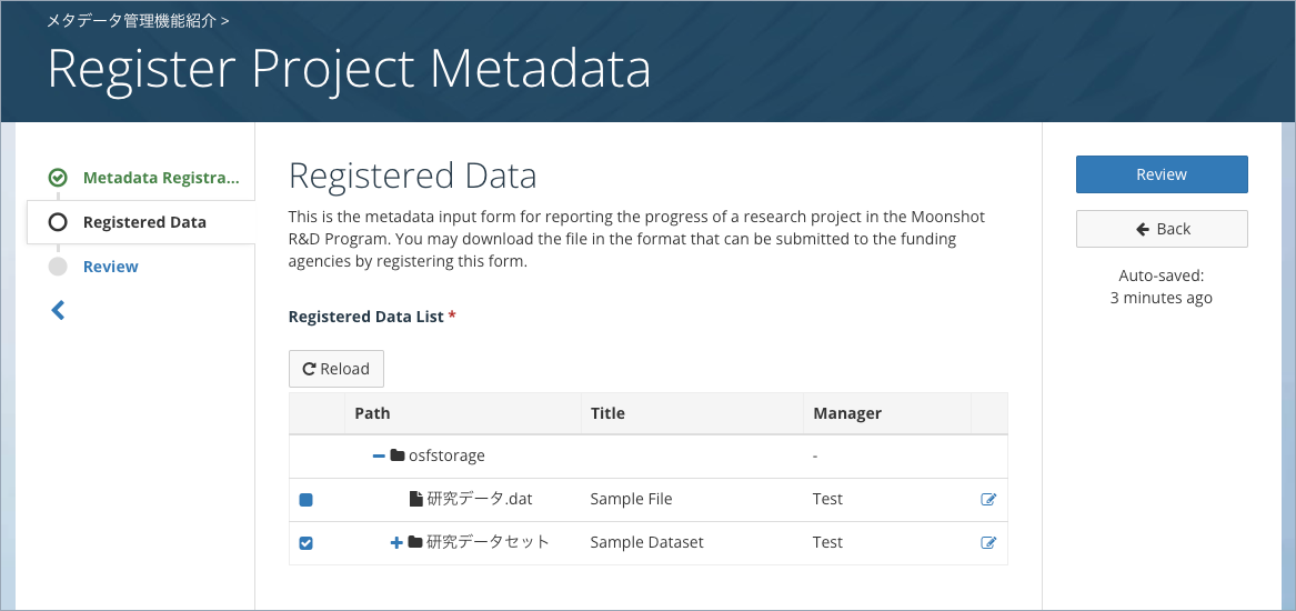 file-metadata-in-project-metadata-en.png